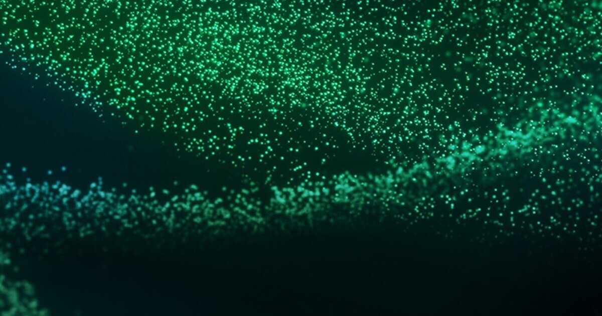 One New Zealand Enters a Commercial Agreement to Launch Network Authentication APIs with Shush