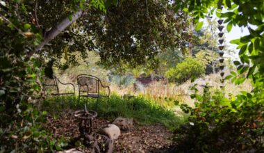 19 SoCal garden tours to inspire your L.A.-area yard