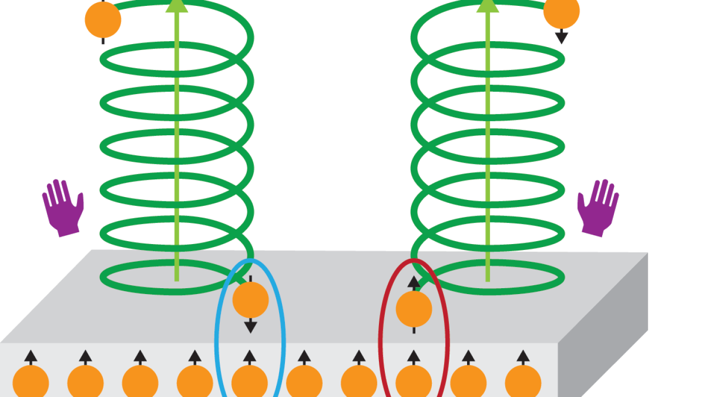How the twist of a molecule affects electron spin