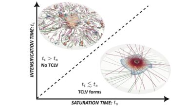 Model combines thermal forces and fluids in rotation to mimic hydrodynamics of cyclones