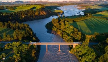 Man drowns in Canterbury river trying to save his dog
