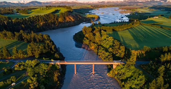 Man drowns in Canterbury river trying to save his dog