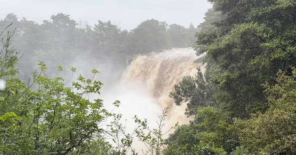 Water thunders over Kerikeri's Rainbow Falls