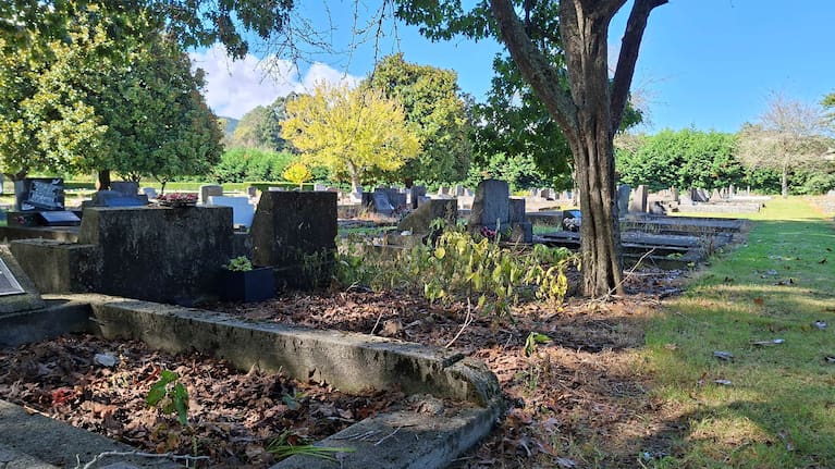 Weeds overgrow near headstones at Rotorua Cemetery and Crematorium on Sala St.