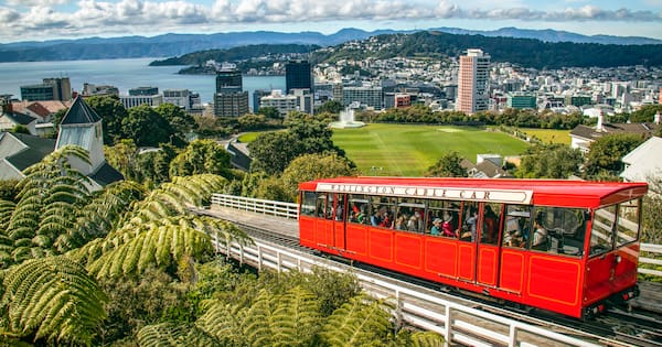 Wellington receives funding boost for Predator Free 2050