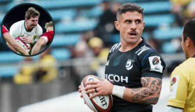 Springbok star has 'mountain to climb', All Black great scores again