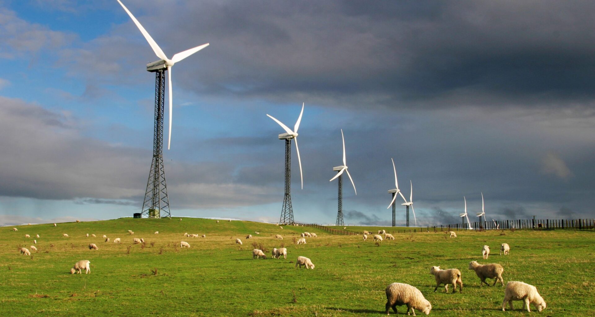 NZ's energy dependence won't be solved by the private sector