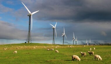 NZ's energy dependence won't be solved by the private sector