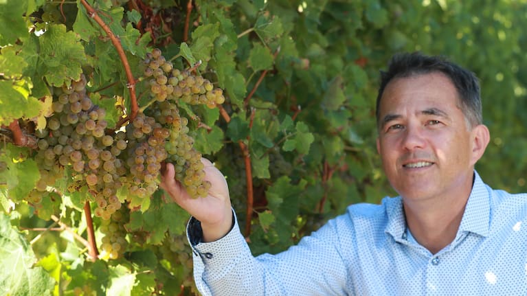 Wine Marlborough general manager Marcus Pickens says it’s no secret Marlborough’s wine industry needs to rebalance supply with demand. (Source: Marlborough Express)