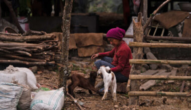 Nepal's rural women at increasing risk of human-wildlife conflict