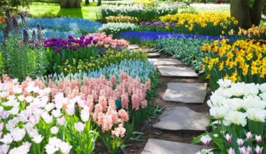 Your Doctor May Soon Give You a Depression Prescription Straight Out of the 1800s