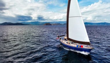 Top cruising sailor and navigator reveals his smarts using PredictWind