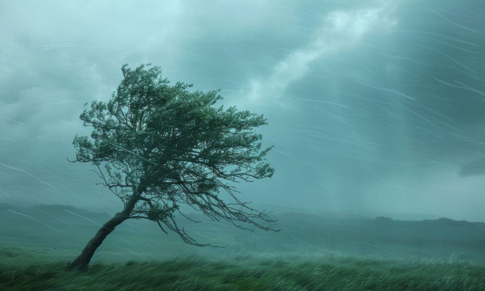 Cyclone Vaianu set to lash New Zealand with severe winds