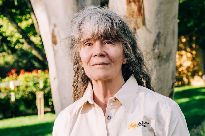 A woman in a grey shirt from the Invasive Species Council with curly gray hair standing in front of a tree.