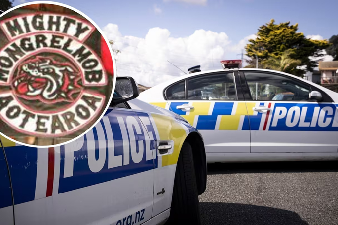 SunLive - Gang insignia conviction upheld in late night stop