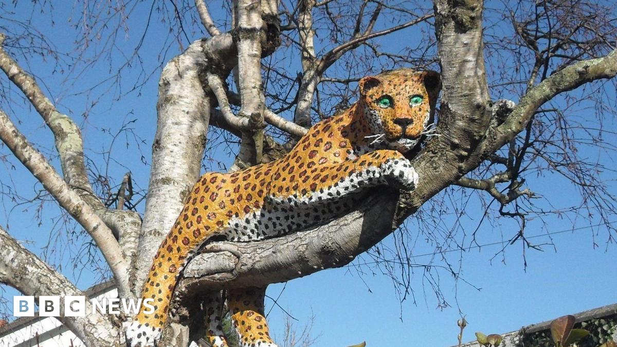 The image shows a leopard sculpture in a tree without leaves. The leopard's green eyes are glaring downwards. There is a clear blue sky in the background.