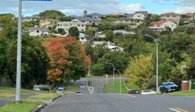 SunLive - Welcome Bay woman bitten by roaming dog