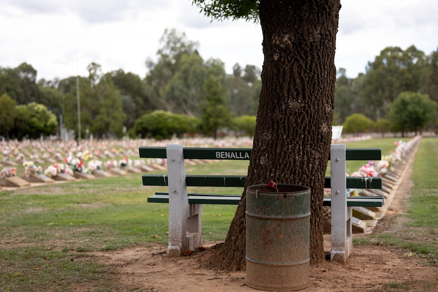 A park bench with Benalla written on it, a tree, and a cemetery in the background.