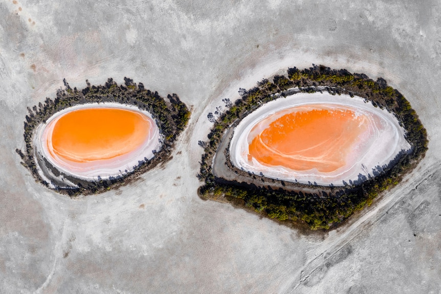 Two orange lakes bordered by tree in a paddock of crop stubble.
