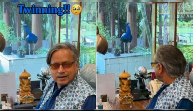 Shashi Tharoor Twins With "Handsome" Peacock, Internet Says "Looking Like A Wow"
