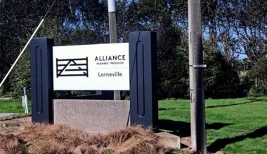 Southland meatworks evacuated over gas risk after fire