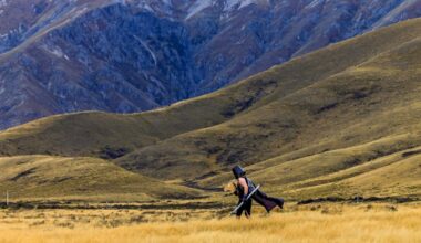 Horse triumphs over human ‘tearing across mountains’