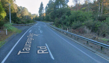 SunLive - New $10m bridge planned for key SH36 route