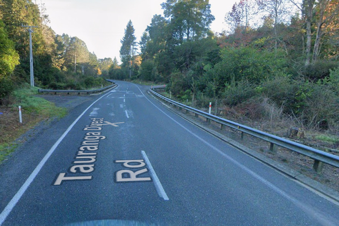 SunLive - New $10m bridge planned for key SH36 route