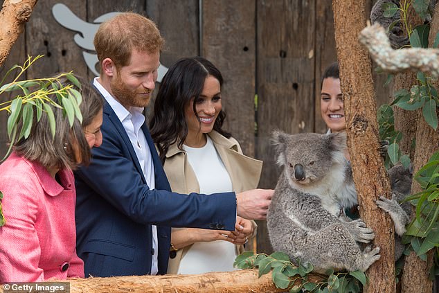 Meghan and Harry superfan @ZandiSussex claims royal supporters are 'hysterical' about the forthcoming visit by the couple and don't want it to succeed. (Pictured: the Duke and Duchess of Sussex on their official tour of Australia in October 2018)