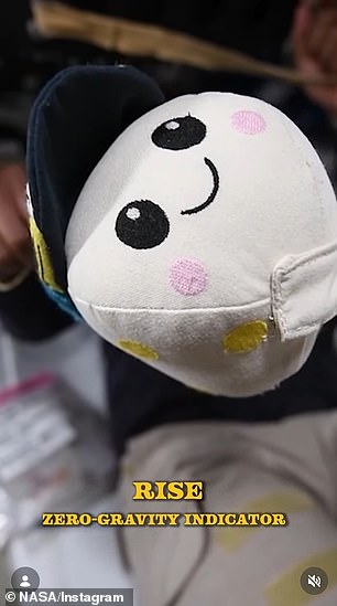Rise, a zero-gravity indicator designed by eight-year-old Lucas Ye of California smiling with its little baseball cap on
