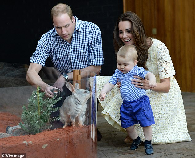 Prince George shared an iconic moment with a bilby on Prince William's royal tour in 2014