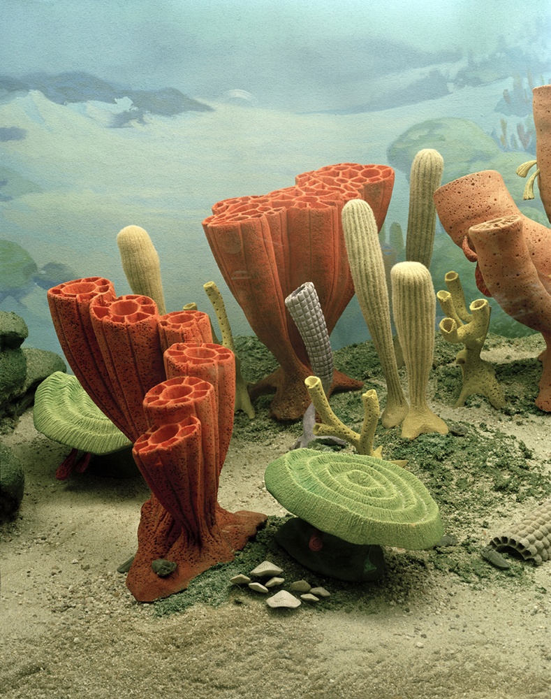 10_©Judy Natal_Future Perfect_Fake Underwater Life