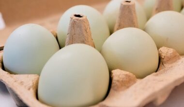 Egg prices surge in Europe ahead of Easter: Which countries saw the highest rise?