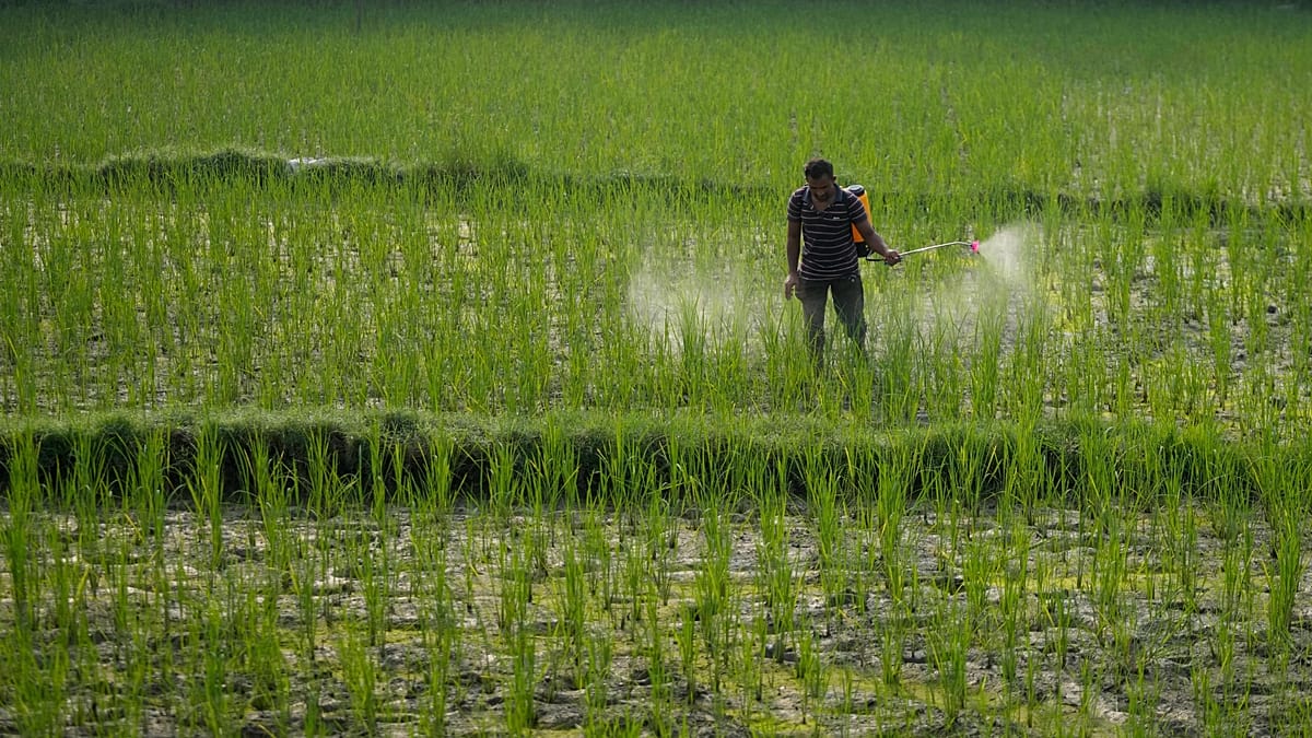 Study links exposure to agricultural pesticides to cancer risk