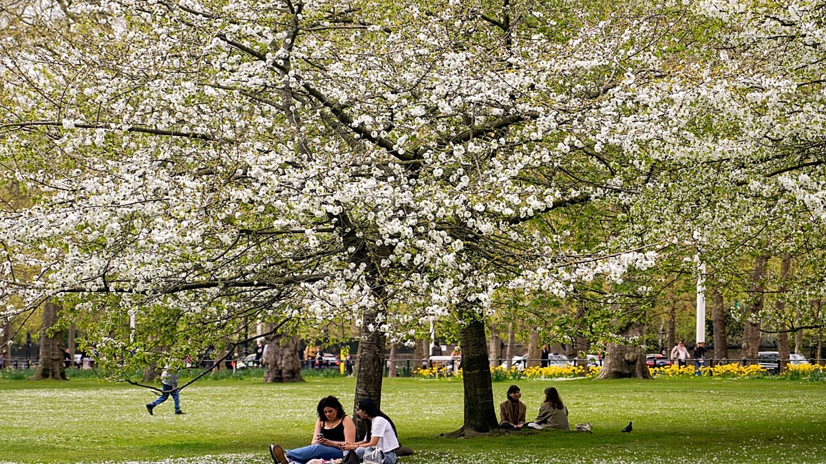 Pollen is here to stay as seasons get longer. Here’s how to protect yourself