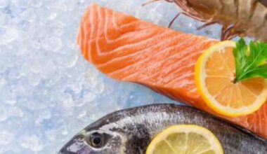 Omega-3 VS Fish Oil for hair growth: Which one actually works better?