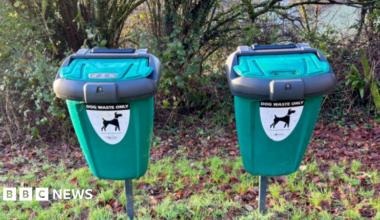 Two dog bins side by side