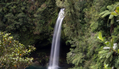 SunLive - Heartfelt name change proposed for reserve