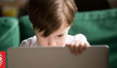 Six-year-old spends food budget on video game 'gems'