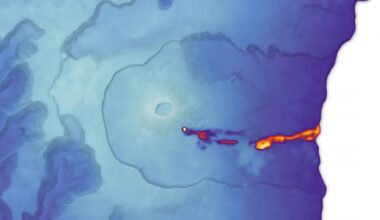 Réunion Island Lava Reaches the Sea