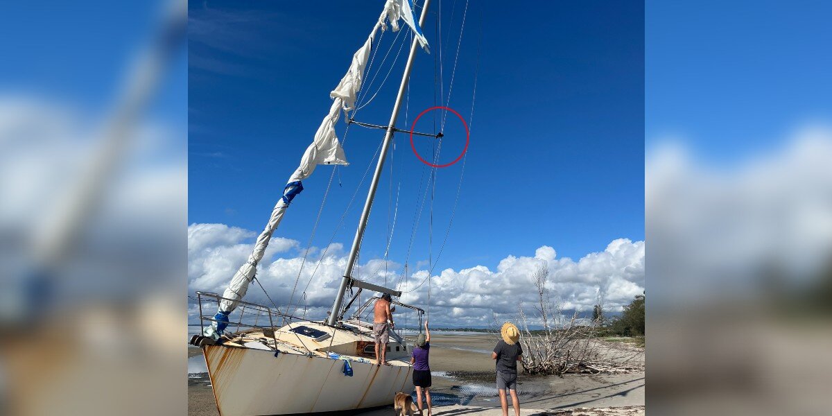 Couple Spot Black Blob On Sailboat Ropes — And Realize It's A Wild Animal In Danger