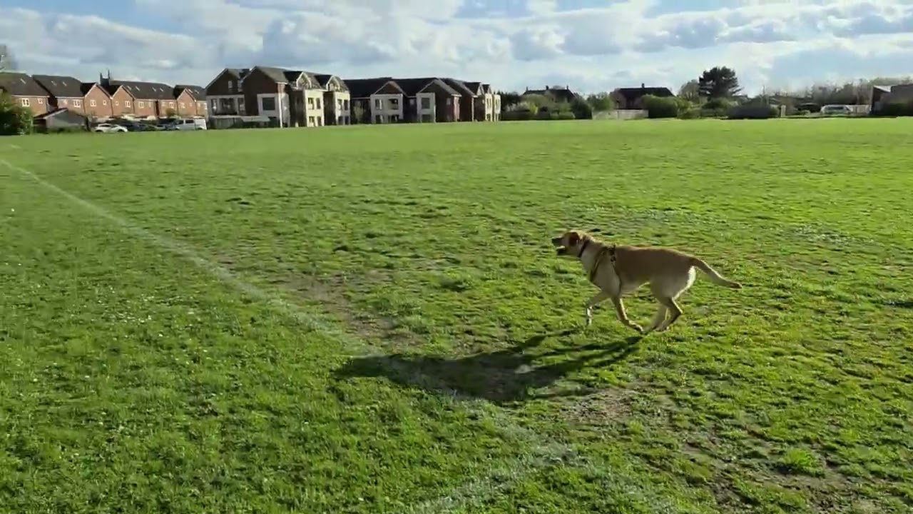 Galaxy S26 Ultra: No Stabilization - YouTube