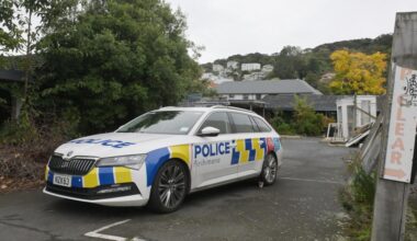 Police remain at scene of north Dunedin fire