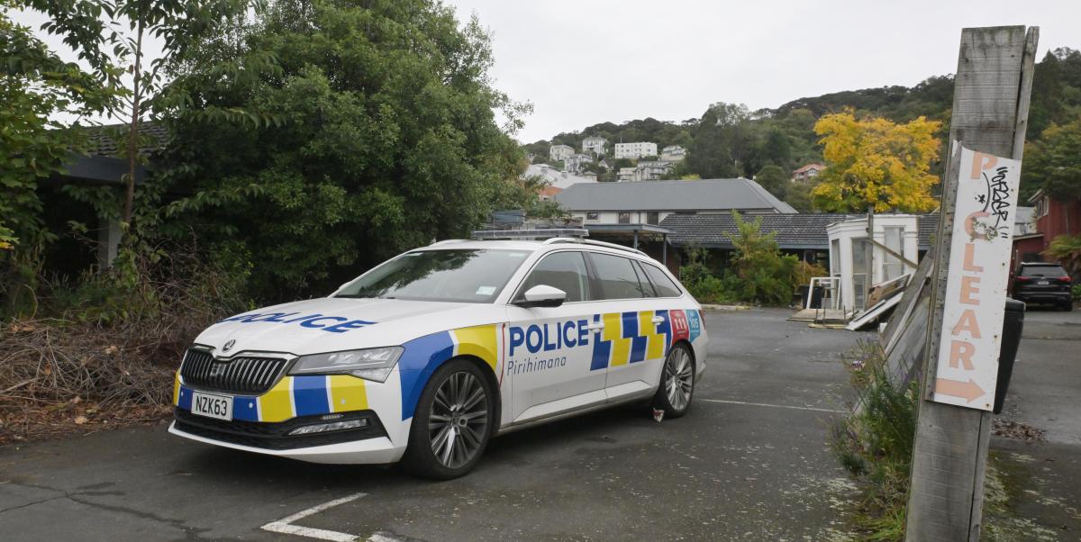 Police remain at scene of north Dunedin fire