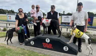 Greyhound racing faces shut‑down deadline