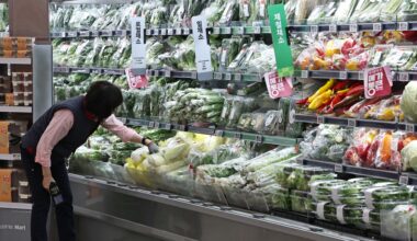 Seasonal vegetables are displayed at a supermarket in Seoul, Thursday. Yonhap