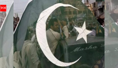 Pakistan External Repayments: Pakistan lines up $4.8 billion in external repayments by June, including $3.5 billion owed to UAE: Report