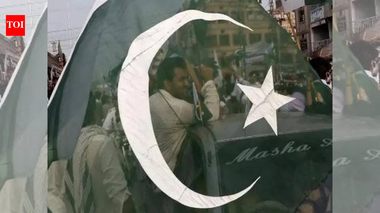 Pakistan External Repayments: Pakistan lines up $4.8 billion in external repayments by June, including $3.5 billion owed to UAE: Report