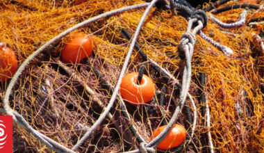 Crew member from NZ-flagged fishing vessel lost overboard