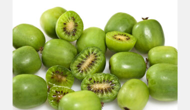 Japanese study explores kiwiberry compounds in cancer prevention